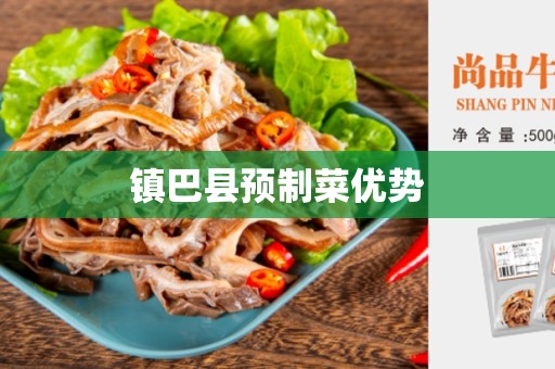 镇巴县预制菜优势