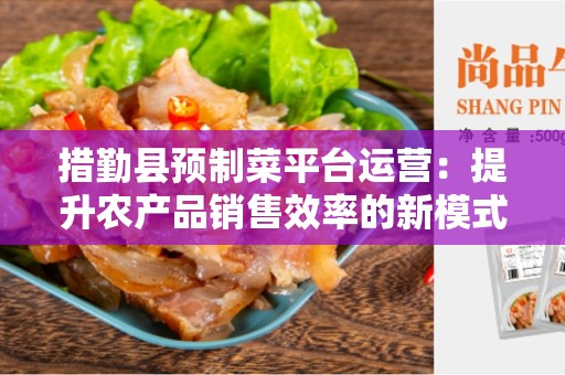 措勤县预制菜平台运营：提升农产品销售效率的新模式