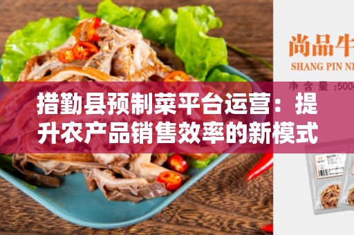 措勤县预制菜平台运营：提升农产品销售效率的新模式