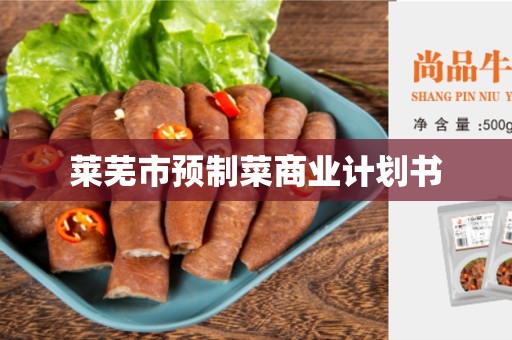 莱芜市预制菜商业计划书