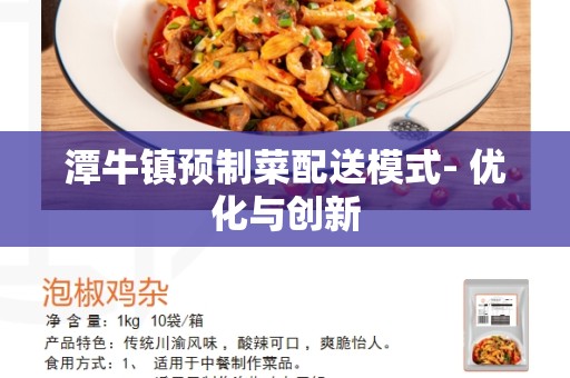 潭牛镇预制菜配送模式- 优化与创新