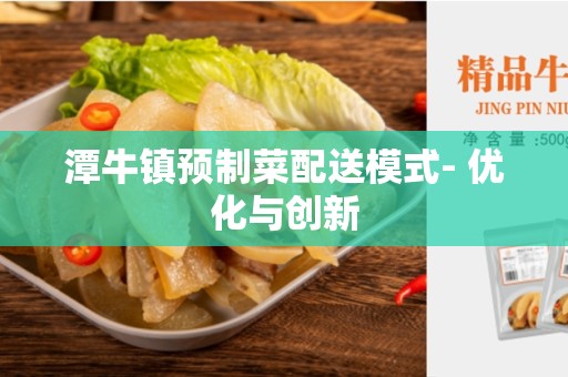 潭牛镇预制菜配送模式- 优化与创新