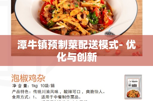潭牛镇预制菜配送模式- 优化与创新