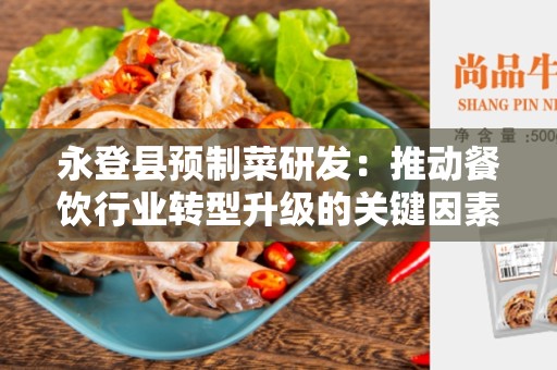 永登县预制菜研发：推动餐饮行业转型升级的关键因素