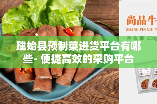 建始县预制菜进货平台有哪些- 便捷高效的采购平台