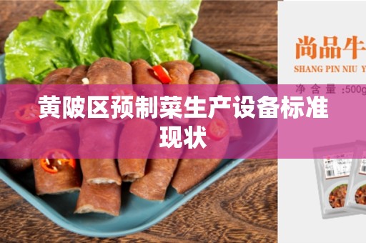黄陂区预制菜生产设备标准现状