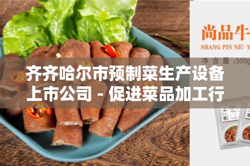 齐齐哈尔市预制菜生产设备上市公司 - 促进菜品加工行业发展的关键因素