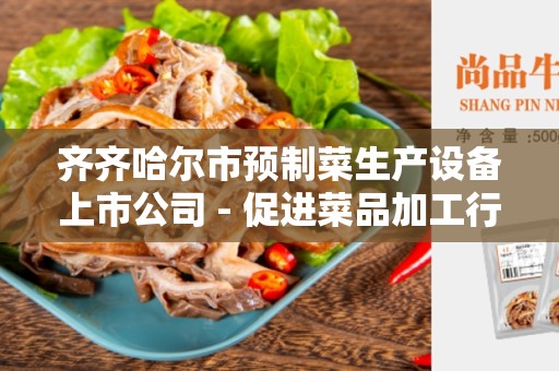 齐齐哈尔市预制菜生产设备上市公司 - 促进菜品加工行业发展的关键因素