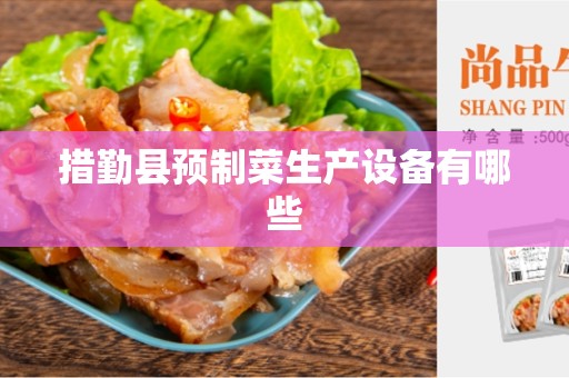 措勤县预制菜生产设备有哪些