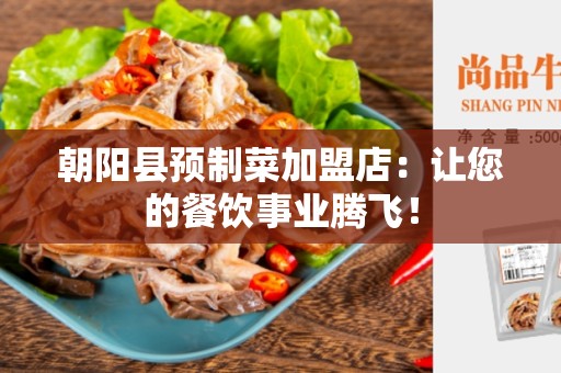 朝阳县预制菜加盟店：让您的餐饮事业腾飞！