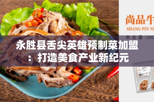 永胜县舌尖英雄预制菜加盟：打造美食产业新纪元