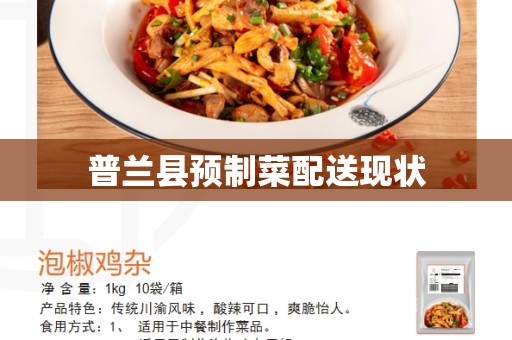 普兰县预制菜配送现状