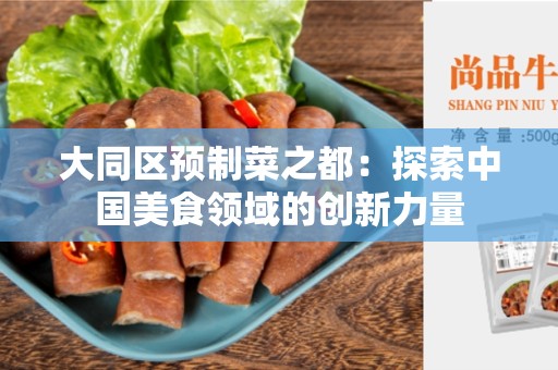 大同区预制菜之都：探索中国美食领域的创新力量