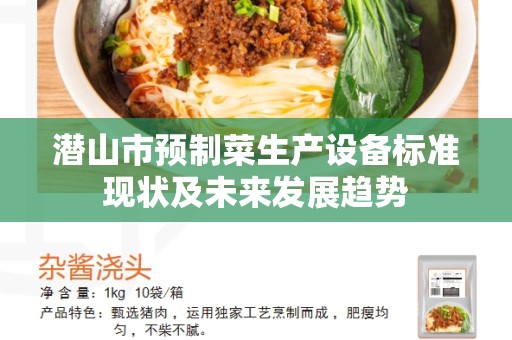 潜山市预制菜生产设备标准现状及未来发展趋势