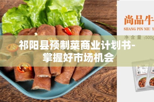 祁阳县预制菜商业计划书- 掌握好市场机会