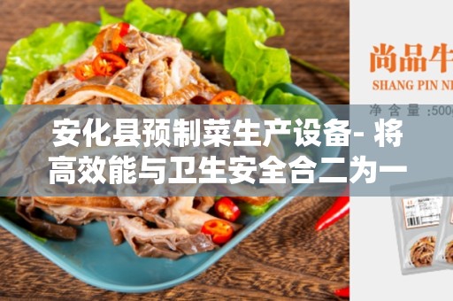 安化县预制菜生产设备- 将高效能与卫生安全合二为一的解决方案