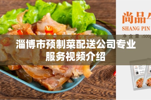 淄博市预制菜配送公司专业服务视频介绍