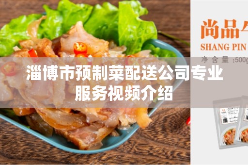淄博市预制菜配送公司专业服务视频介绍