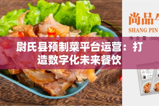 尉氏县预制菜平台运营：打造数字化未来餐饮