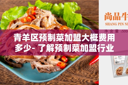 青羊区预制菜加盟大概费用多少- 了解预制菜加盟行业投资成本