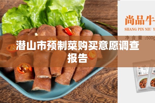 潜山市预制菜购买意愿调查报告