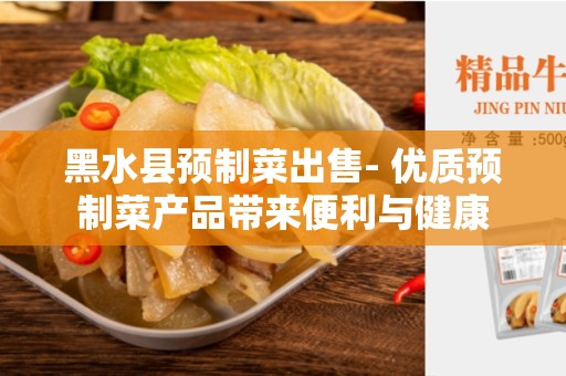 黑水县预制菜出售- 优质预制菜产品带来便利与健康