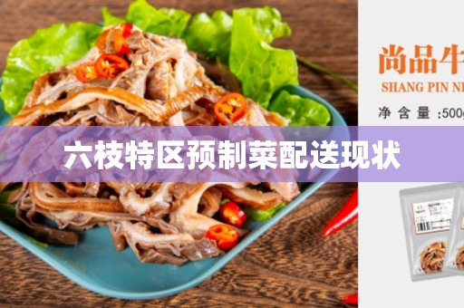 六枝特区预制菜配送现状
