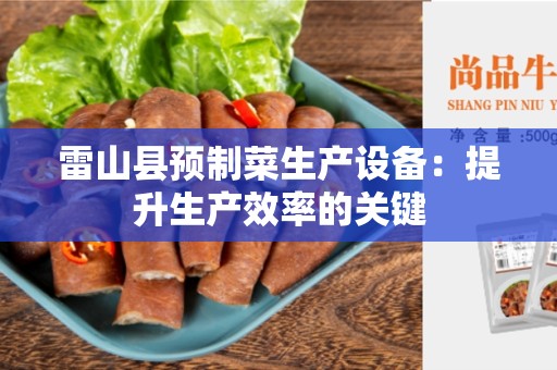 雷山县预制菜生产设备：提升生产效率的关键
