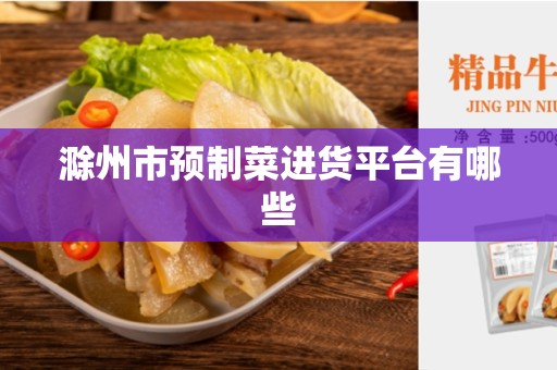 滁州市预制菜进货平台有哪些