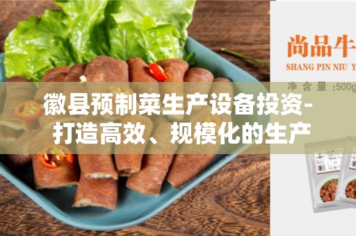 徽县预制菜生产设备投资- 打造高效、规模化的生产流程