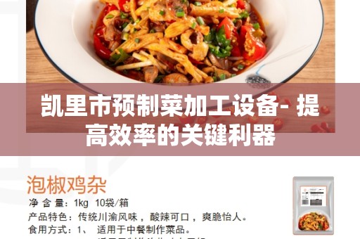 凯里市预制菜加工设备- 提高效率的关键利器
