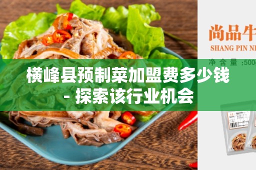 横峰县预制菜加盟费多少钱- 探索该行业机会