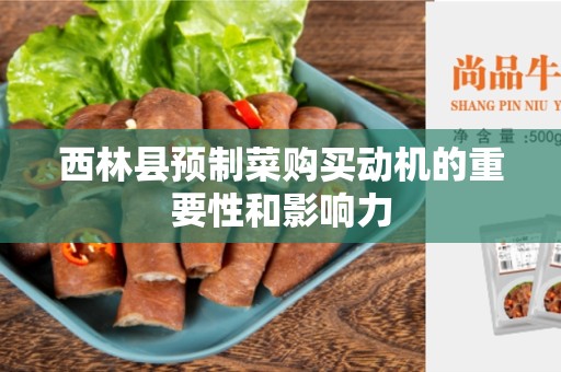 西林县预制菜购买动机的重要性和影响力