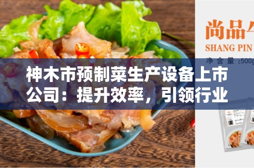 神木市预制菜生产设备上市公司：提升效率，引领行业创新
