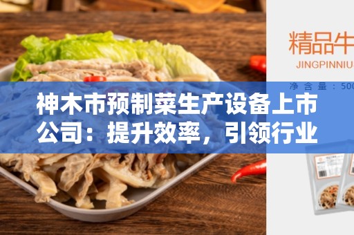 神木市预制菜生产设备上市公司：提升效率，引领行业创新