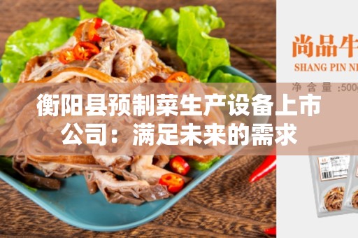 衡阳县预制菜生产设备上市公司：满足未来的需求
