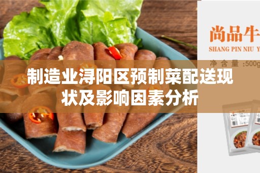 制造业浔阳区预制菜配送现状及影响因素分析