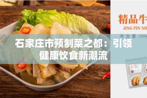 石家庄市预制菜之都：引领健康饮食新潮流
