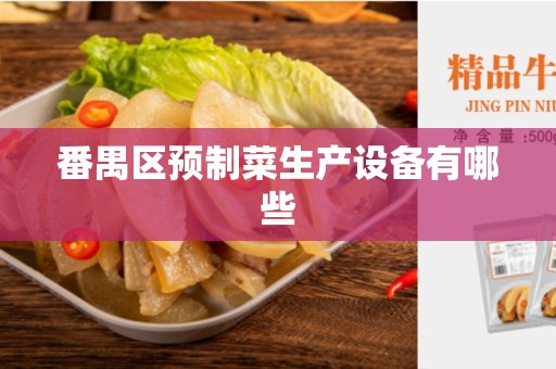 番禺区预制菜生产设备有哪些