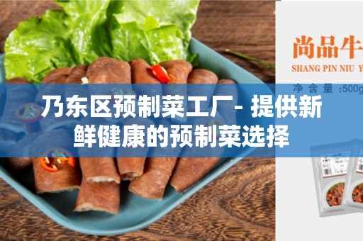 乃东区预制菜工厂- 提供新鲜健康的预制菜选择
