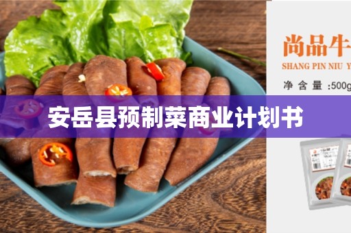安岳县预制菜商业计划书