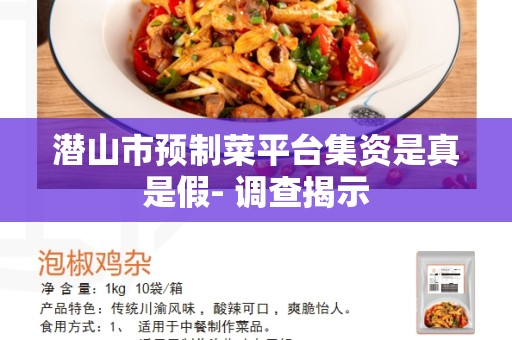 潜山市预制菜平台集资是真是假- 调查揭示