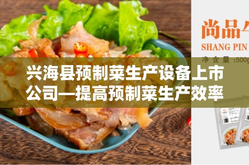 兴海县预制菜生产设备上市公司—提高预制菜生产效率的首选