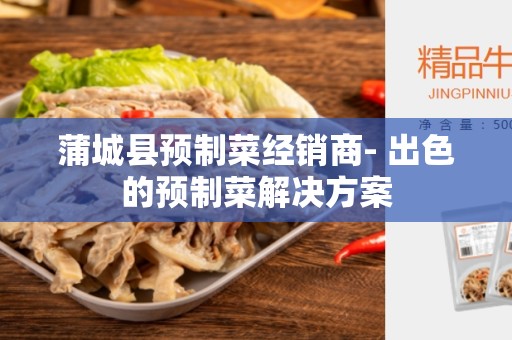 蒲城县预制菜经销商- 出色的预制菜解决方案