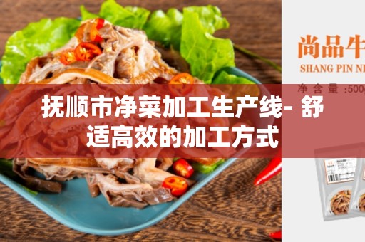 抚顺市净菜加工生产线- 舒适高效的加工方式