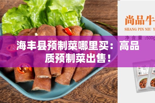 海丰县预制菜哪里买：高品质预制菜出售！