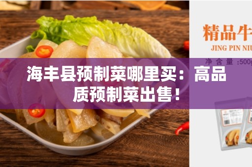 海丰县预制菜哪里买：高品质预制菜出售！