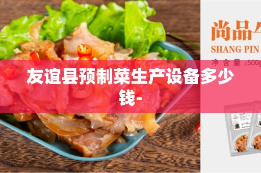 友谊县预制菜生产设备多少钱-
