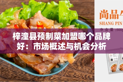 梓潼县预制菜加盟哪个品牌好：市场概述与机会分析