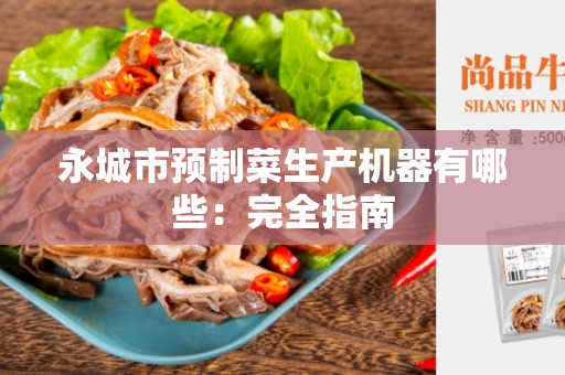 永城市预制菜生产机器有哪些：完全指南